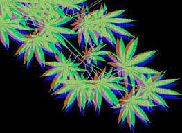 Trippy weed wallpaper hd 4k. Marijuana 1080p 2k 4k 5k Hd Wallpapers Free Download Wallpaper Flare