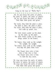 48039f2c04696362fa1380265524d917 Jpg 500 647 Kindergarten Science Plant Lessons Preschool Songs