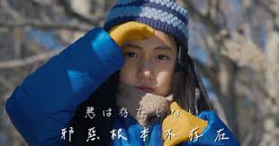 戰火中的小狐狸》：當戰火奪走一切，還能學會愛嗎？