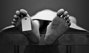 Image result for mortality