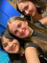 Seattle area roommate wanted for Boeing commute