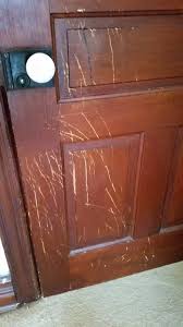 Check spelling or type a new query. Tenants Dog Scratched Doors What To Do