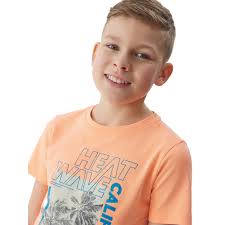 Boy's T-shirt with short sleeves 4F JUNIOR  TSHIRT-4FJWSS24TTSHM1137-70N-ORANGE NEON