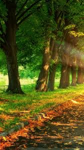 Full Hd Nature Background 1080x1920 Download Hd Wallpaper Wallpapertip Get the best wallpapers from nature category.