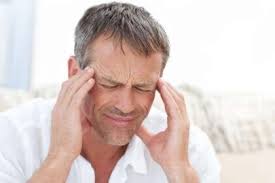 Halil Akın Kalkan, Hayrendiş sitesinin yazarı