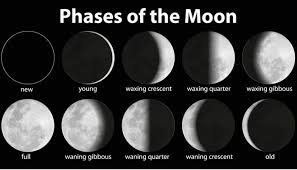 This interactive google map shows the path of the total solar eclipse of 2024 apr 08. Solar Eclipse Stem Activities And Moon Phases Projects For Kids