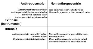 Ecosystem Intrinsic Value And Its Application In Decision Making For Sustainable Development Sciencedirect