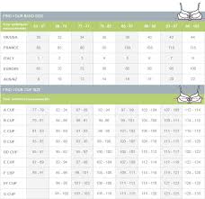 Bra Size Chart Cups How To Measure At Home 1 Secret Fit Tip