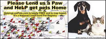 Check spelling or type a new query. Ma Lost Pets About Facebook
