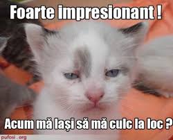 Tot ce fac este foarte distractiv și amuzant. Pin On Sara Thea