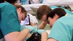 Tablet Guides Med Students In Gross Anatomy Lab Youtube