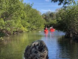Maybe you would like to learn more about one of these? Kayak Nature Adventures 32 Photos 21 Reviews Boating 2901 Miriam St S Saint Petersburg Fl United States Phone Number