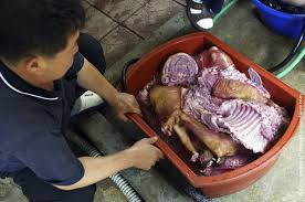 Gratis untuk komersial tidak perlu kredit bebas hak cipta. Bosintang Sup Daging Anjing Yang Jadi Favorit Warga Korea Merdeka Com