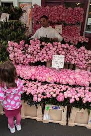 Columbia Road Flower Market Columbia Road Flower Market Flower Market Flowers For Sale
