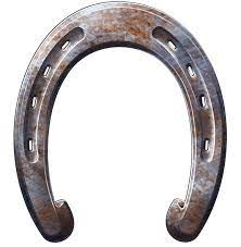 Horseshoe Png Image Horseshoe Horseshoe Decor Horse Shoe Tattoo
