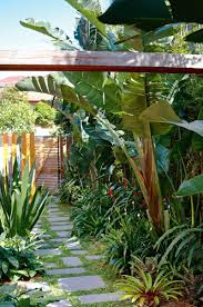 Inside Out 5 Of The Best Side Garden Designs By Matthew Cantwell Of Secret G Tropical Landscape Design Tropical Backyard Landscaping Tropical Garden Design