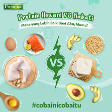 Maybe you would like to learn more about one of these? Tubuh Si Kecil Membutuhkan Protein Bayi Sehat Promina Facebook