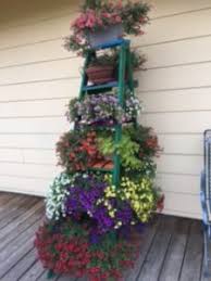 With a background in textiles, rebecca has a passion for design and colour, she loves to create arrangements that echo the nature in which they have be grown and the. Home Madras Garden Club