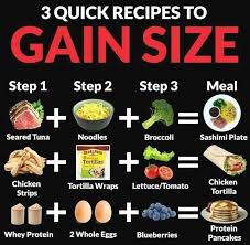 3 Healthy Meal Plans For Fast Weight Loss Fat Loss Diet Healthy Weight Gain Weight Gain Meals Weight Gain Meal Plan