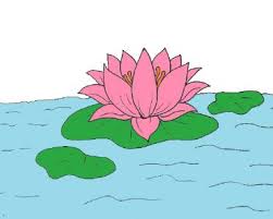 Draw a straight horizontal line close to the top of the page, this line will define the top part of the lotus. How To Draw Lotus Easy Archives How To Draw Step By Step