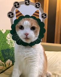 台風 早く去って カール雷さまのお願い スコティッシュフォールド ねこ 猫 ねこ好き ねこ部 ねこのきもち ねこスタグラム でぶねこ たいふう かみなりさま ペーパークラフト かわいい 大好き 宝物 カール カールくん かーすけ scottishfold cat