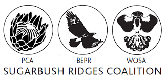 Image result for Zeuxine africana