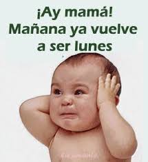 shirley bonilla (@shirley_bonilla)