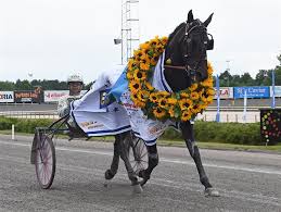 You should pick the winning. V75 Midsommarfirande I Kalmar 22 Juni Martin Engstrom