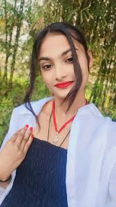 Favorite Pitbull Pet Memories and Experiences