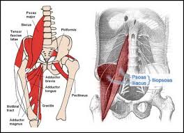 Hip Flexor Stretches 5 Minutes To Relieve Unlock Tight Hips Best Guide Hip Flexor Stretch Hip Flexor Tight Hips