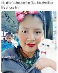 14 Jokes Of The Day For Thursday 21 February 2019 Viraluck Funny Cats Funnymemes Really Funny Memes Animal Memes Crazy Funny Memes