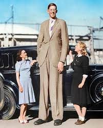 Tallest Man Ever - Guinness World Records | Tallest man ever - the  unbreakable record? | By Guinness World Records | Facebook