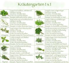 Krautergarten 1 X 1 Krauter Pflanzen Gemuse Anbauen Garten