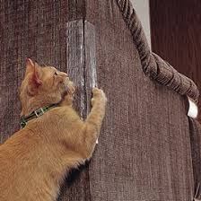 Did your cat start scratching furniture recently? Stop Cat Scratching Cat Towers Trees Condos And Furniture