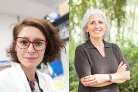 Bill Grey (@Bill_G_Grey)