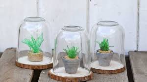 It is very easy to create your own cactus terrarium. How To Make A Plastic Bottle Faux Succulents Terrarium Pillar Box Blue