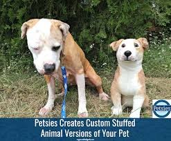 Create your own custom stuffed animals at customized girl. Petsies Creates Custom Stuffed Animal Versions Of Your Pet Pawsitively Pets