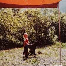 Here are a couple of the fantastic benefits that you can look forward to 706fk9ebwvr8bm