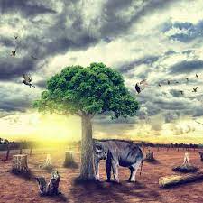 දියවන්නා කුමාරියේ …mp3 song download free. à¶¯ à¶ºà·€à¶± à¶± à¶š à¶¸ à¶» à¶º Diyawanna Kumariye Song Lyrics And Music By Naada Arranged By Chrishmal On Smule Social Singing App