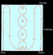 Many studies showed the 5, 10 and 30 meters sprint the significance level was settled at p < 0,01. Health And Fitness