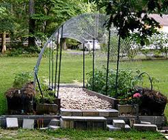 This profile adjusts the website, so that it is accessible to the majority of visual impairments such as degrading eyesight, tunnel vision, cataract, glaucoma, and. Use Cattle Panels To Build An Arched Trellis Hoop House Dave S Garden
