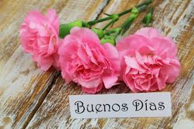 Encantada estoy de estar a tu lado siempre. Por Que En Espanol Decimos Buenos Dias O Buenas Noches En Plural Y No En Singular Como Las Demas Lenguas Bbc News Mundo