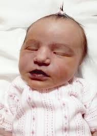 Obituary information for Evalee Rose Rinehart