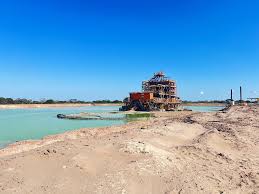 Image result for Siphonochilus kilimanensis