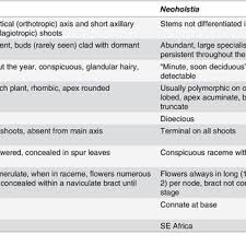 Image result for Neoholstia tenuifolia
