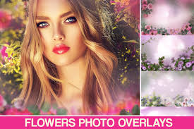Digital Flower Backdrop, Flower Photo Overlays, Field Overlay, Tree  Branches Background, Floral Backdrop, Flower Photoshop Overlays