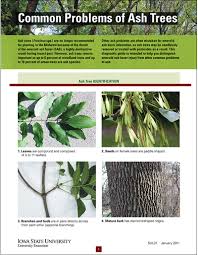 Midwest small fruit pest management handbook (osu bulletin 861). Midwest Fruit Pest Management Guide 2021 2022