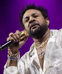 About last night: @direalshaggy warming up for the @pitbull Party After  Dark Tour at the @ziggodome Amsterdam .More pictures