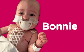 11-year-old heart warrior Oscar climbs three mountains in a day for CHSF