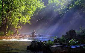 Fishing wallpaper casting into the sunrise sport fishing asia. Best 64 Fishing Backgrounds On Hipwallpaper Outdoor Fishing Wallpaper Peaceful Fishing Wallpaper And Sport Fishing Wallpaper